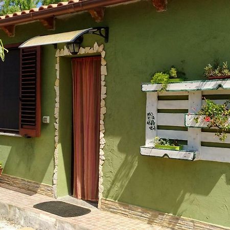 Casa Minnina Appartamento Il Salice المظهر الخارجي الصورة