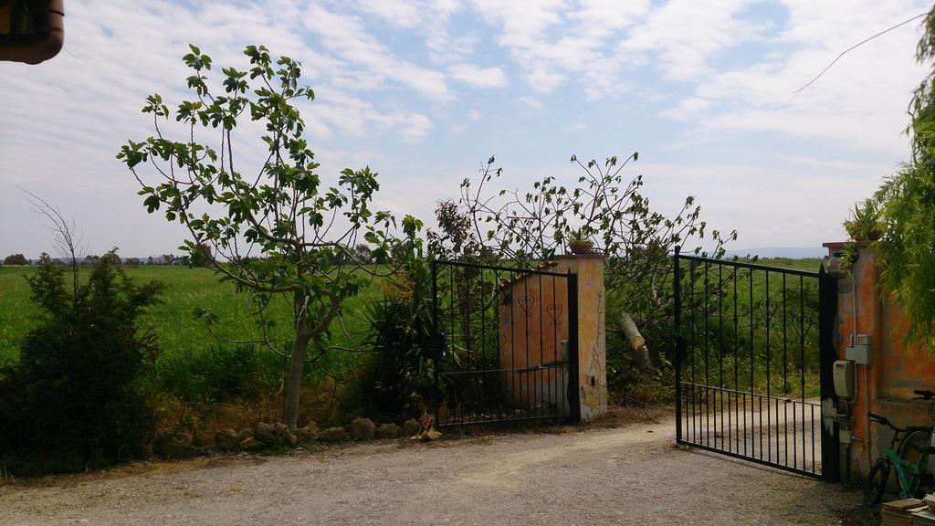 Casa Minnina Appartamento Il Salice المظهر الخارجي الصورة